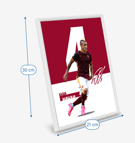 (Player) Radja Nainggolan poster