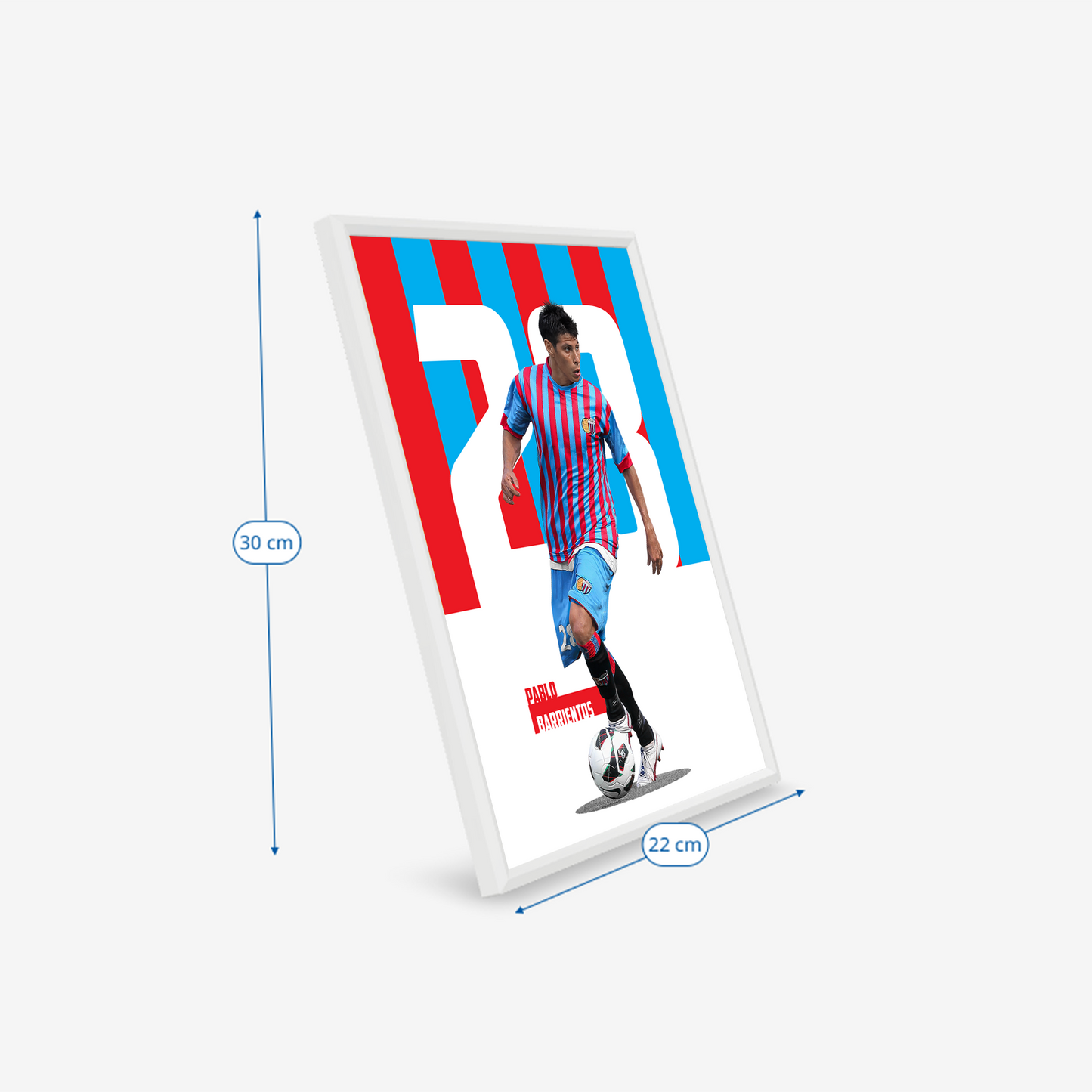 (Player) Pablo Barrientos poster