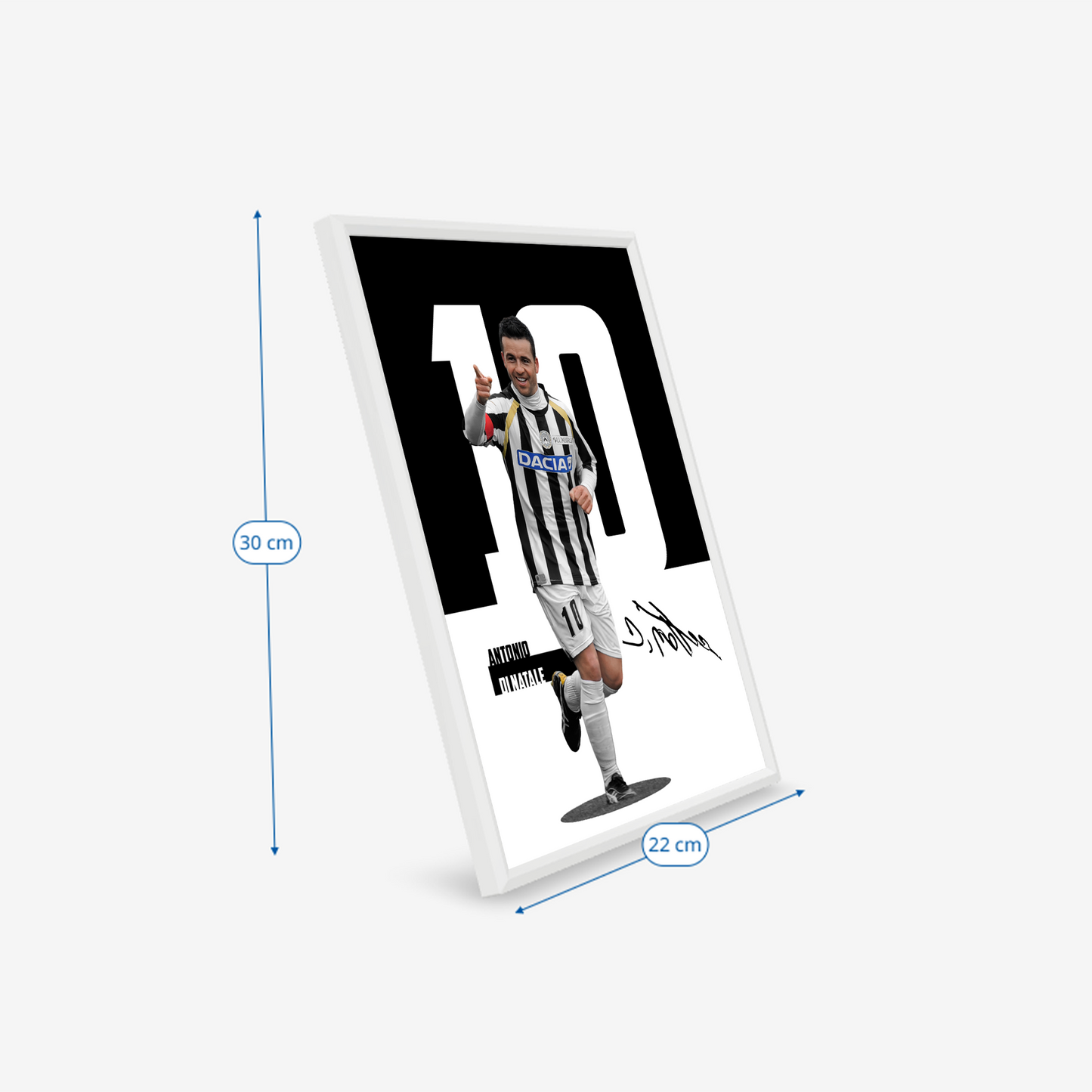 (Player) Antonio Di Natale poster
