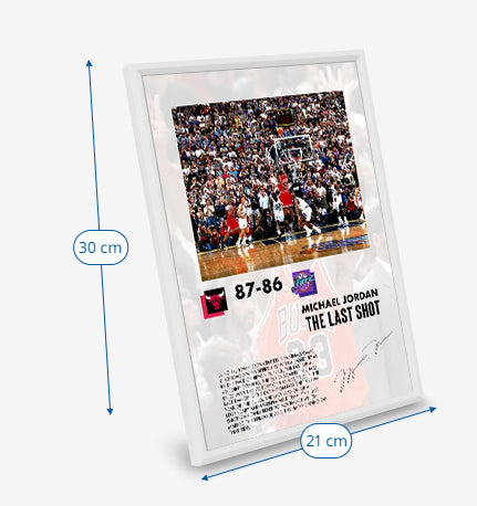 (NBA)  Michael Jordan The Last shot Poster