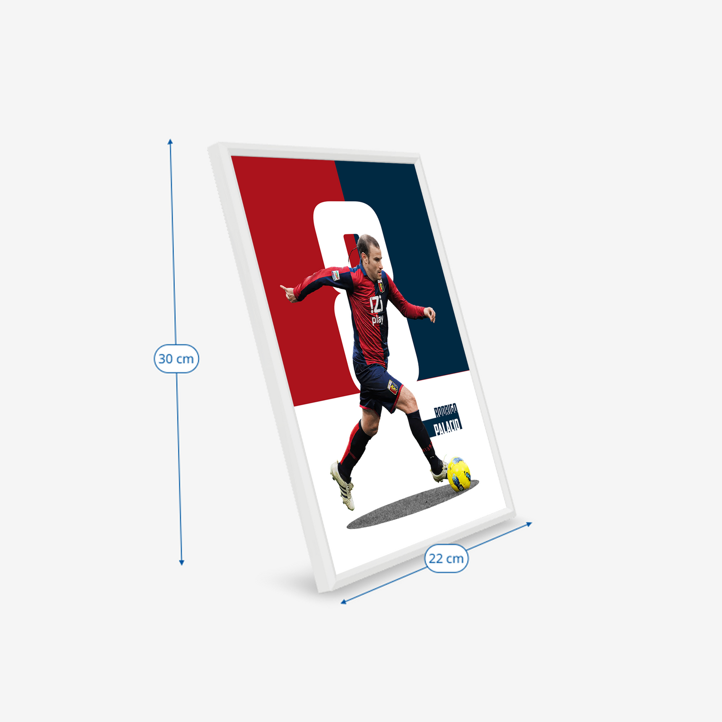 (Player) Rodrigo Palacio poster