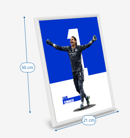 (Player) Yann Sommer poster