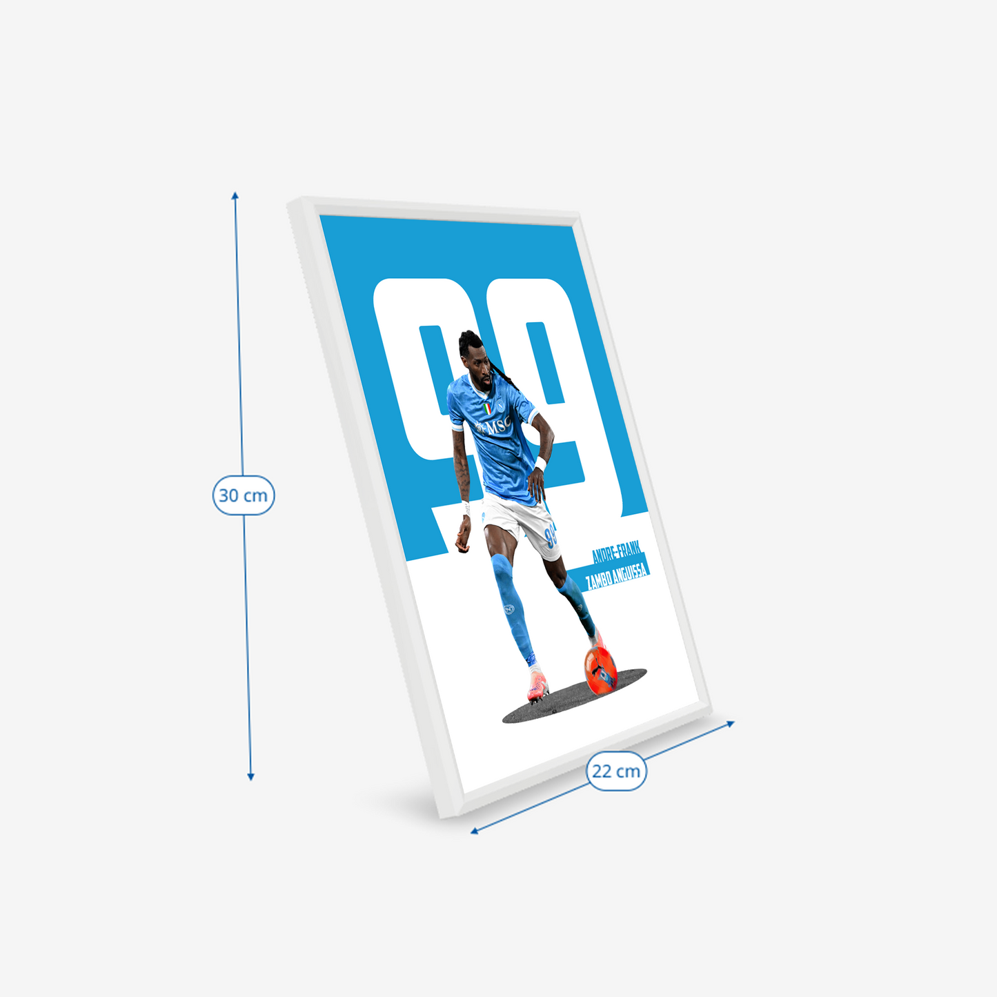 (Player) André-Frank Zambo Anguissa poster